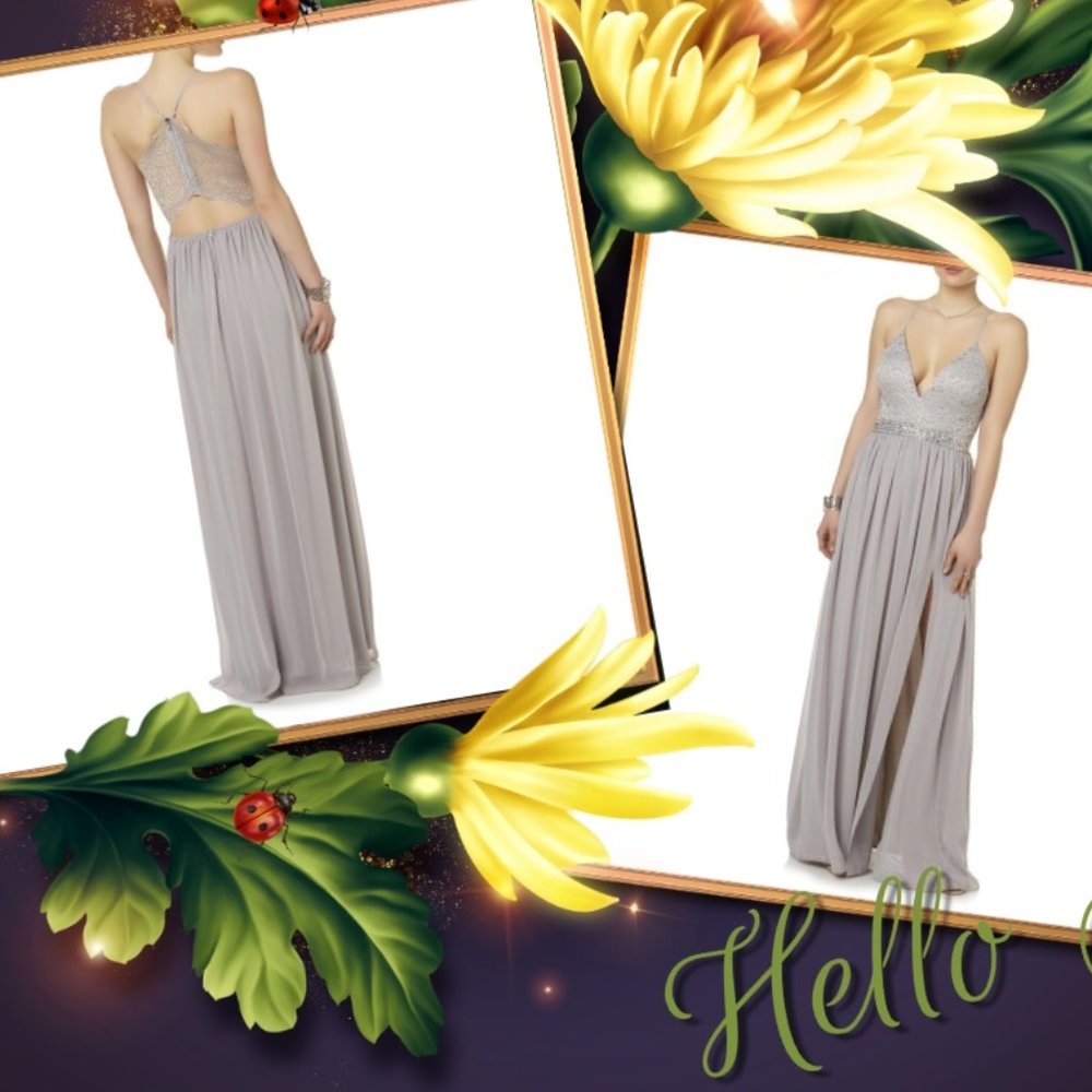 ⭐️FINAL SALE ITEM⭐️💕Chiffon Lace Sequin Bodice Maxi Gown💕